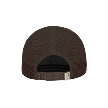 Tan and brown cap with DD logo